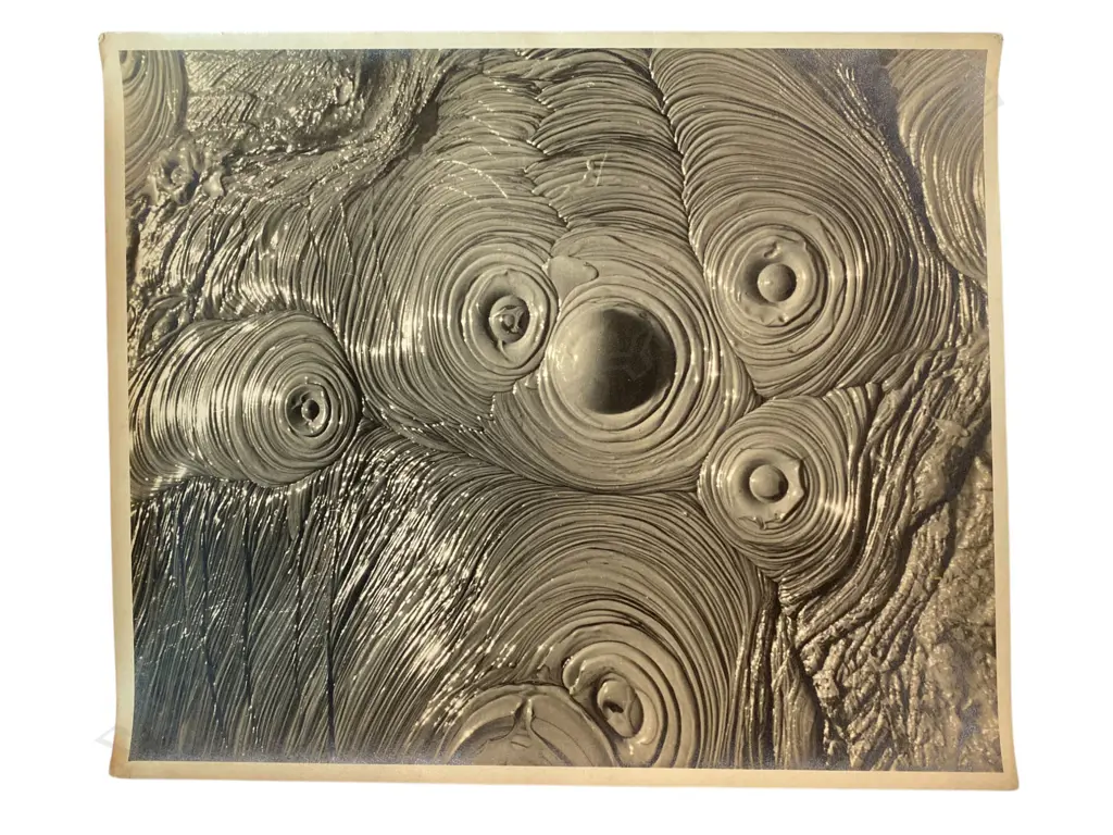 Theo Schoon (1915-85) - Mud pool, Image 1++